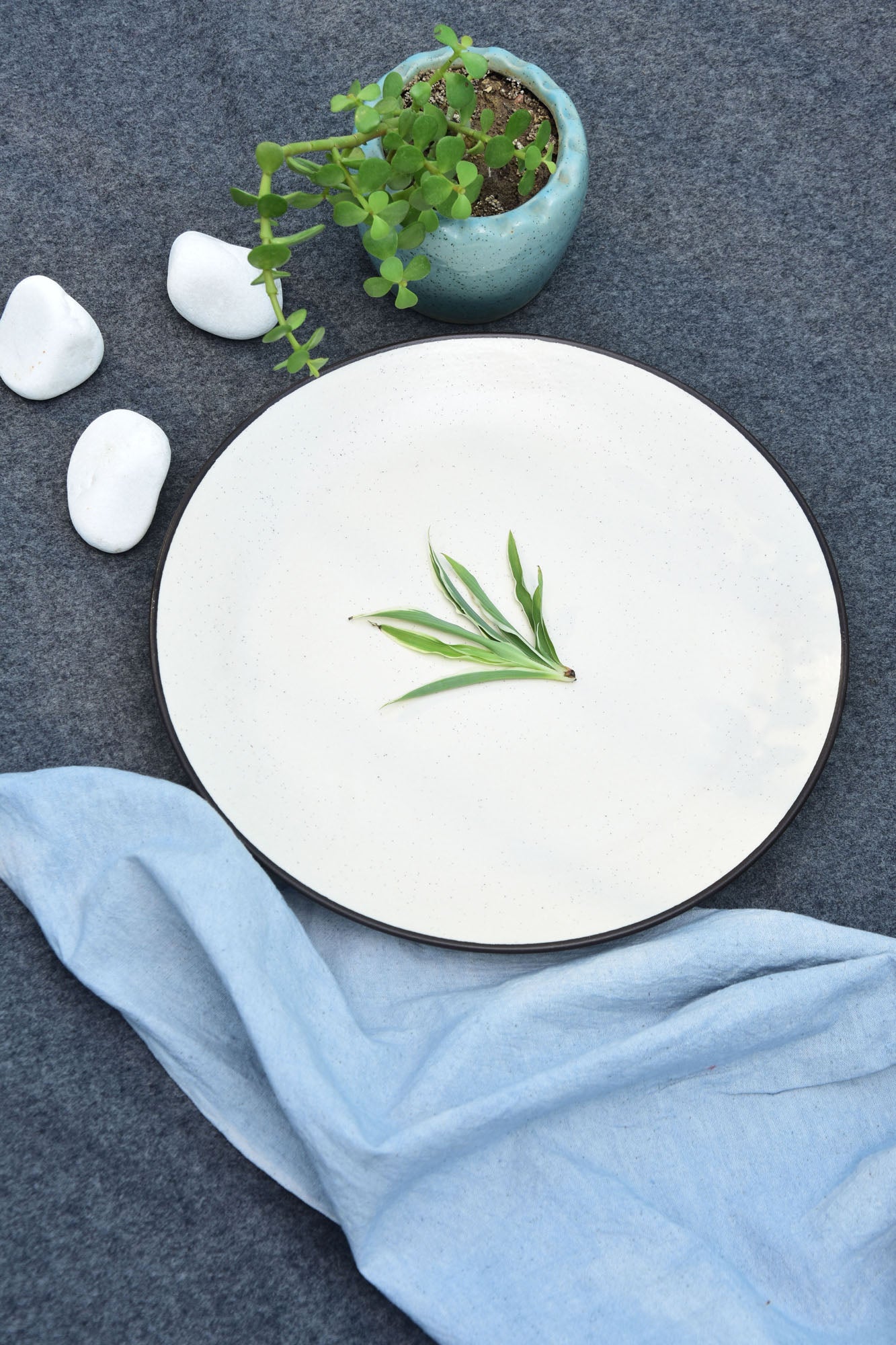 White Ceramic Dinner Plate