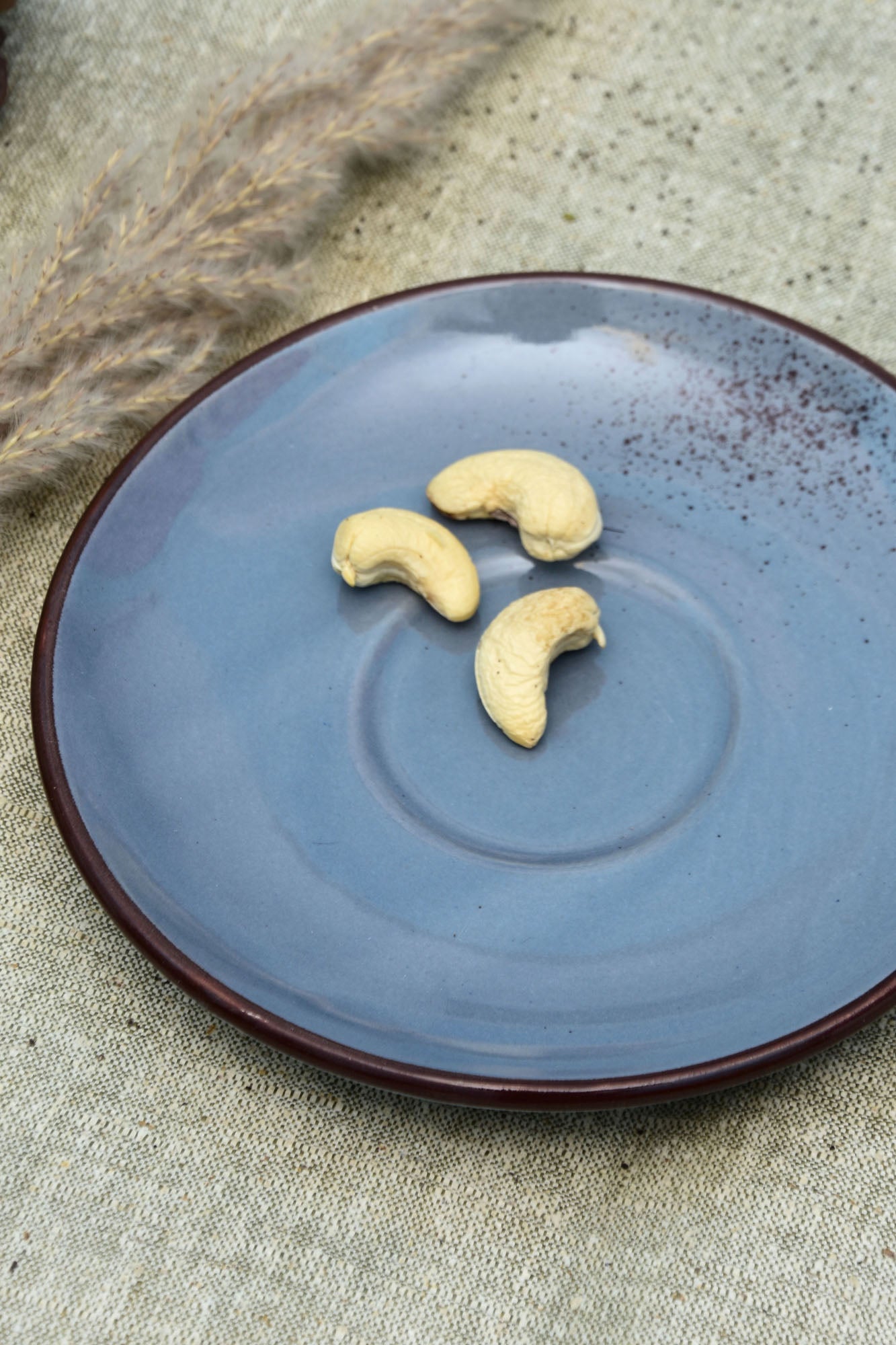 Dotted circle Plate