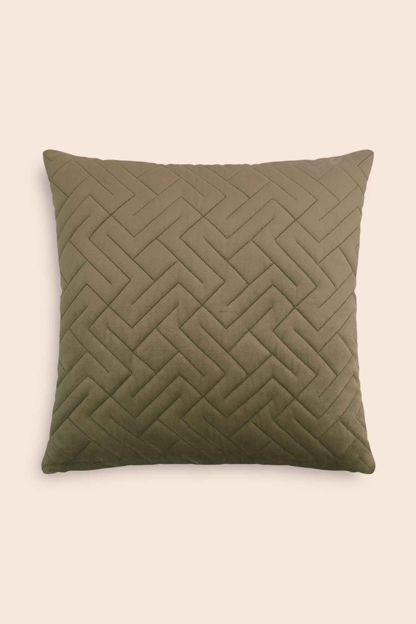 Clover velvet cushion cover